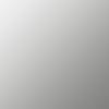 Polished Aluminum