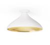 White/Brass