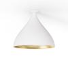White/Brass