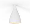White/Brass