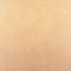 Parchment