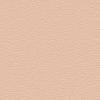 Pink Beige RAL design 060 80 20