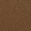 Teak 9006
