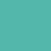 Turquoise Green B46