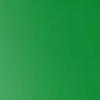 Turquoise Green 6016