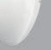 Glossy White