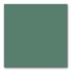 Prouvé Blé Vert powder-coated