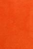 Nasturtium