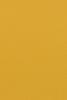 Squash